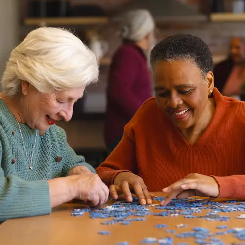 Senior women working together on jigsaw puzzle / Des femmes âgées qui font un puzzle ensemble