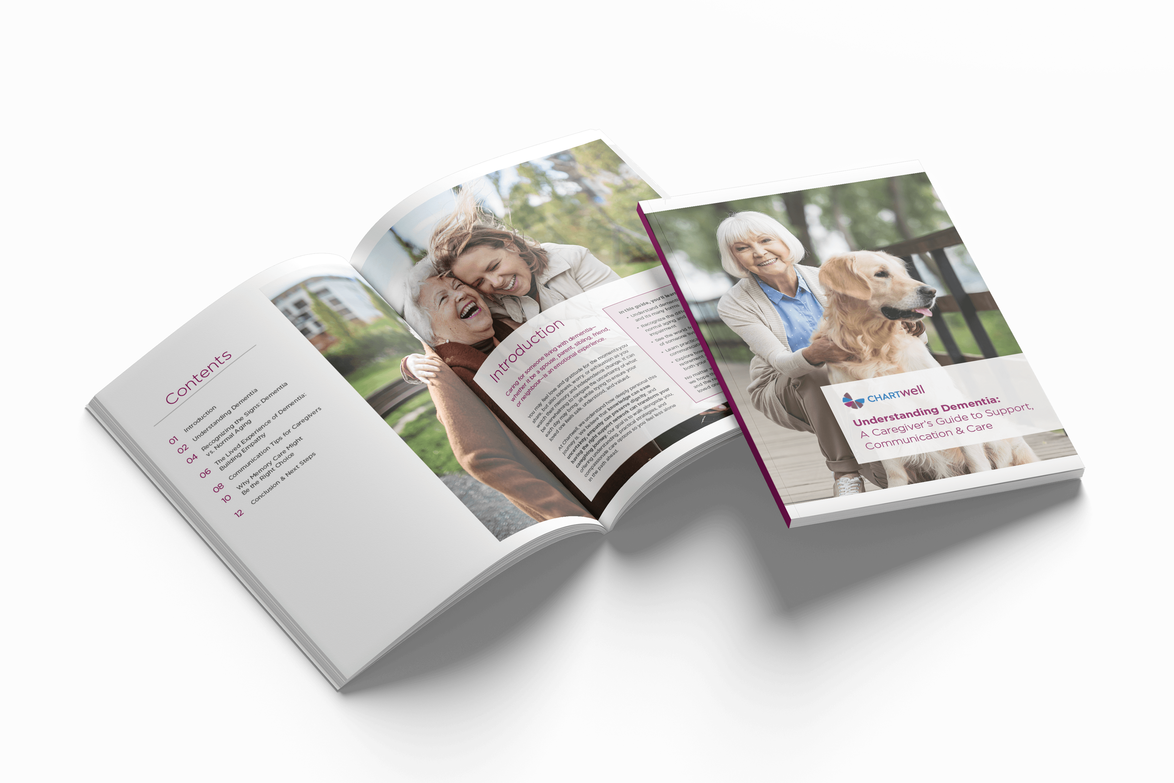 Preview of the Understanding Dementia