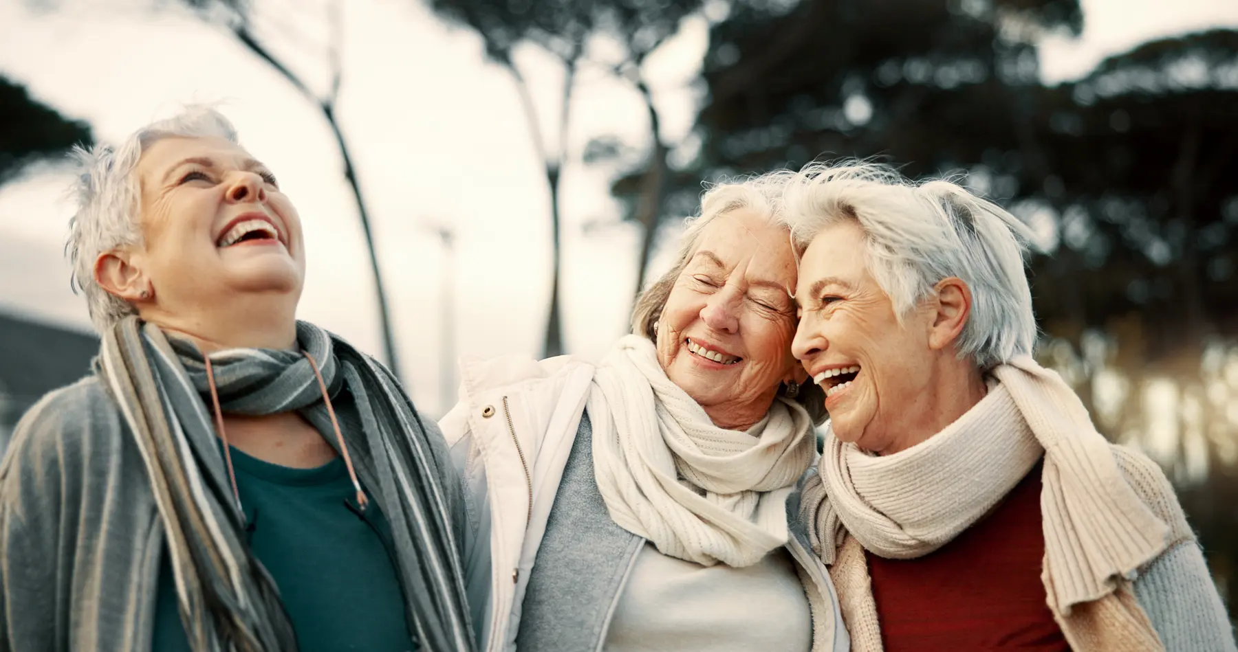 Three senior women are laughing joyfully together / Trois femmes âgées rient joyeusement ensemble