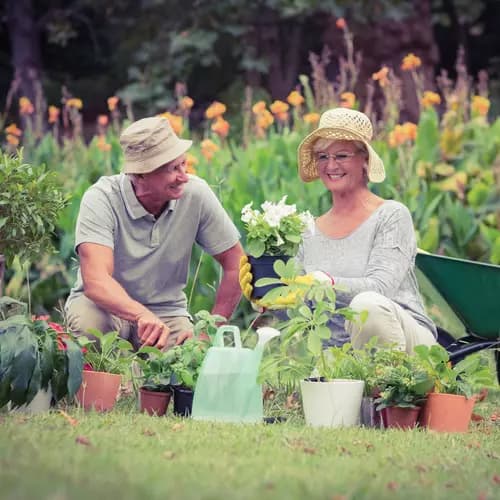 Senior man and woman gardening with many flowerpots . Homme et femme seniors jardinant avec de nombreux pots de fleurs