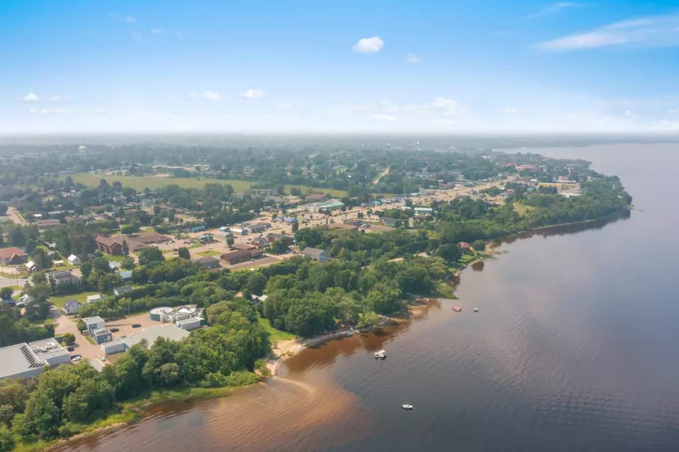 Drone shot of a Chartwell Pinewood and its neighbourhood / Prise de vue par drone d'un bois de pins de Chartwell et de son voisinage
